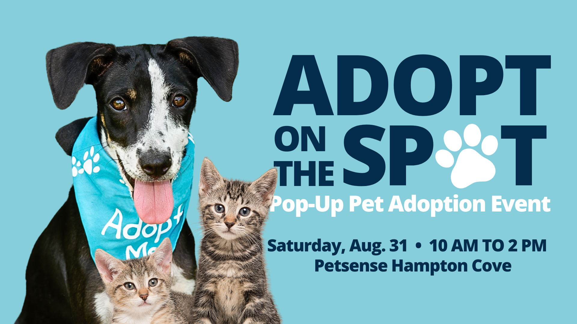 Graphic with blue background and photo of a black and white dog with two tabby kittens and the words "Adopt on the Spot, Pop-Up Pet Adoption Event, Saturday, Aug. 31, 10 AM to 2 PM, Petsense Hampton Cove