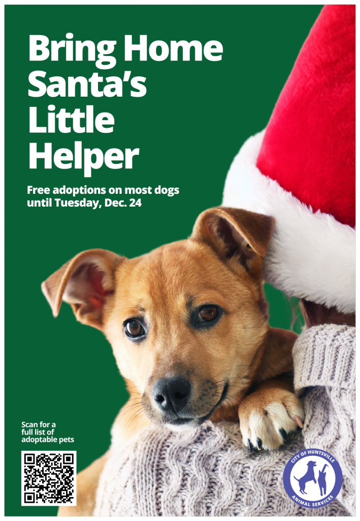 Graphic containing a photo of a person wearing a Santa hat and holding a puppy with the words "Bring Home Santa's Little Helper, Free adoptions on most adult dogs until Tuesday, Dec. 24"