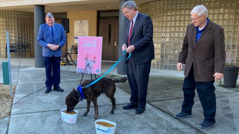 Image for 2025 Ground Dog Day