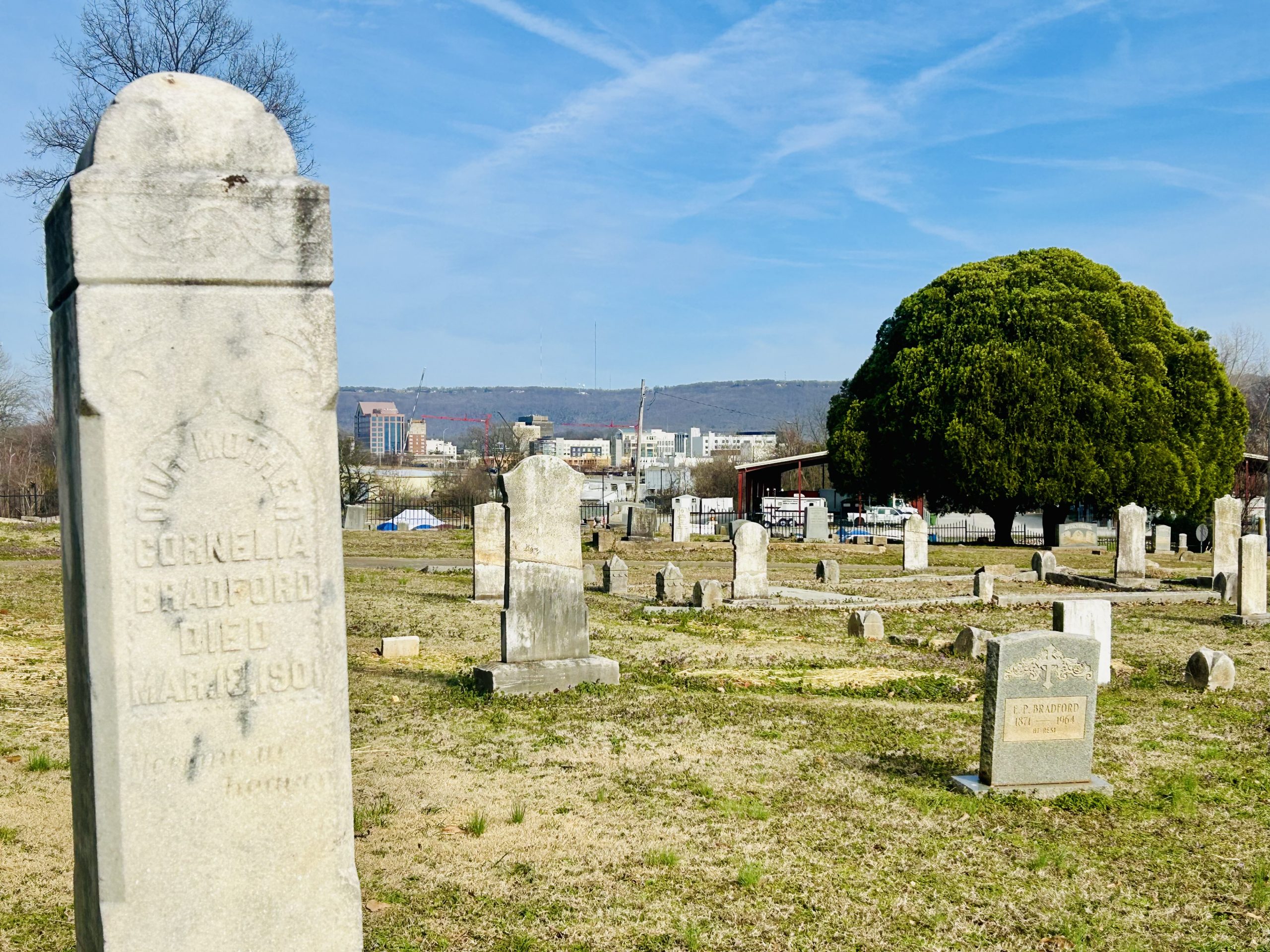 Step into history: Glenwood Cemetery digital walking tour will
