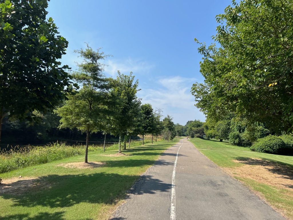 greenway with trees and a walking trail through the middle