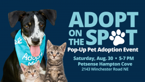 Dark blue graphic with a photo of a black and white dog and two gray kittens with the information for the Adopt on the Spot Pop-Up Pet Adoption Event on Aug. 30