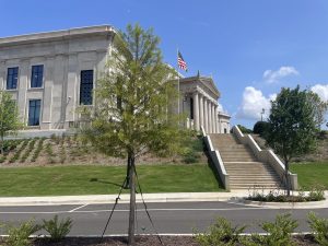 green trees with federal courthouse in background at top of hill