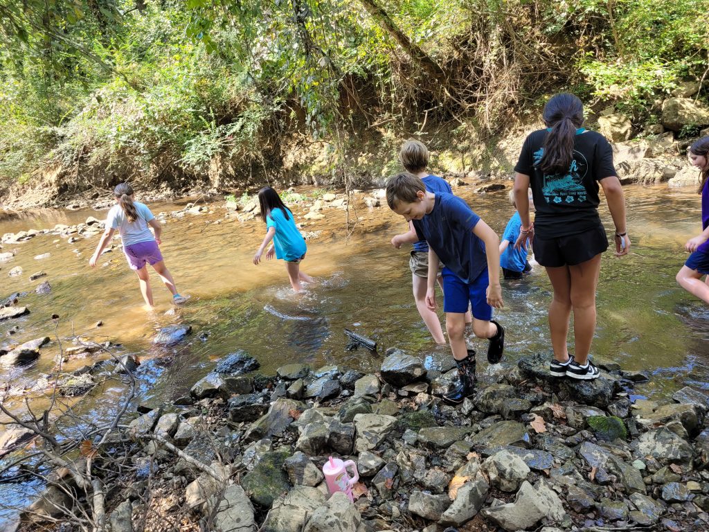 children standing in shallow creek with rocks and trees