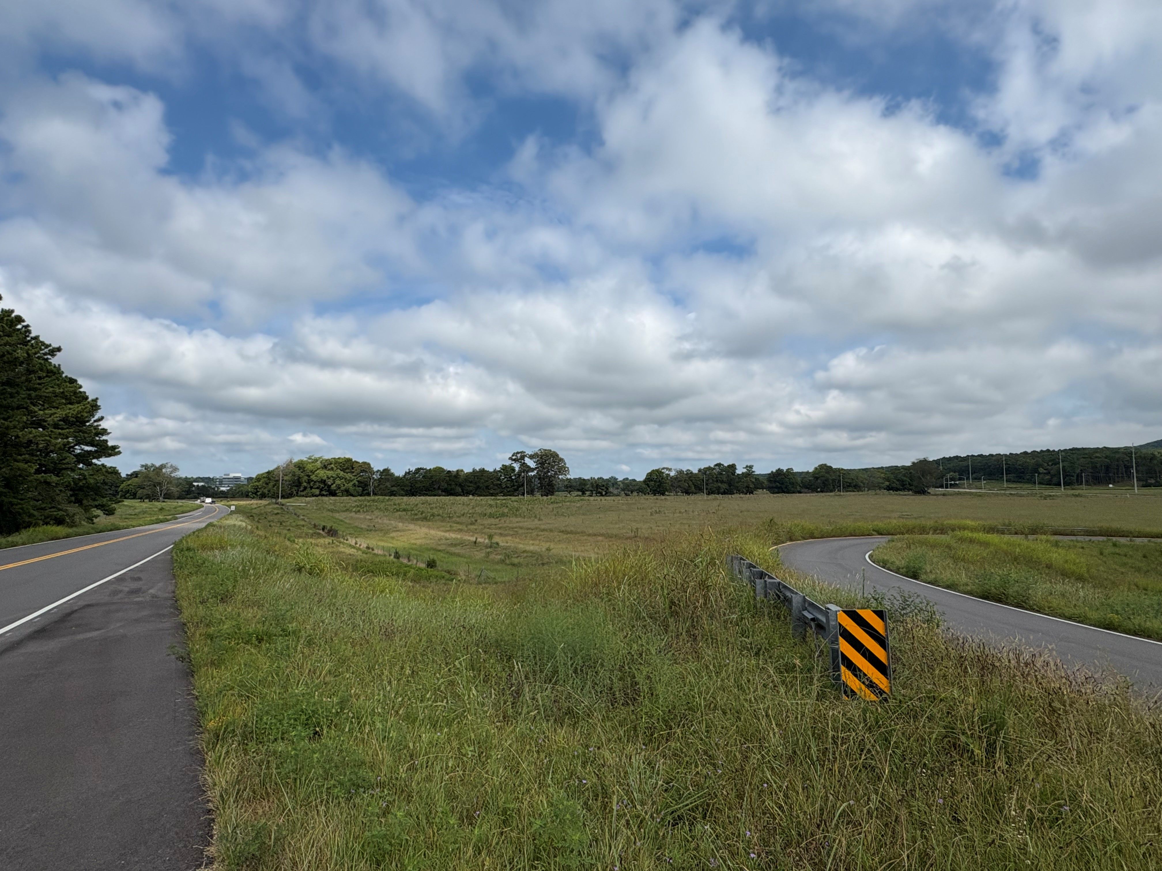 grass field with a road to the side