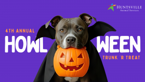 Purple graphic with a photo of a gray pit bull mix dog with an orange jack-o-lantern candy bucket in its mouth with the words 4th Annual Howl-o-Ween Trunk 'r' Treat