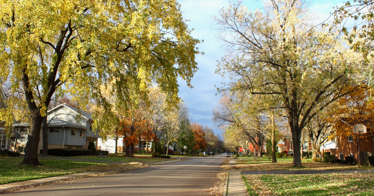 Wooded suburban neighborhood street with houses in the fall
