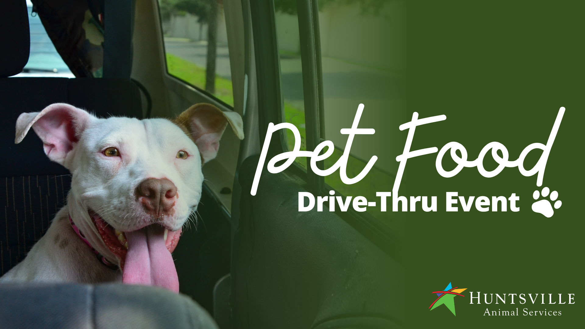 Brown and white dog looking out the window next to the words 