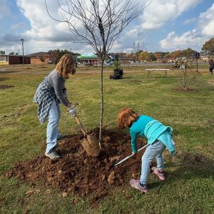 A woman and child plant a tall tree at the Cavalry Hill Tree Planting Day at Cavalry Hill Community Center