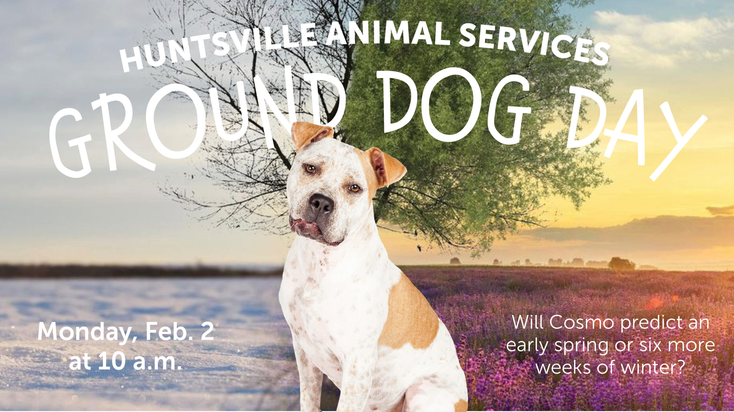 A white and brown dog with both a winter scene and spring background to promote Ground Dog Day 2026