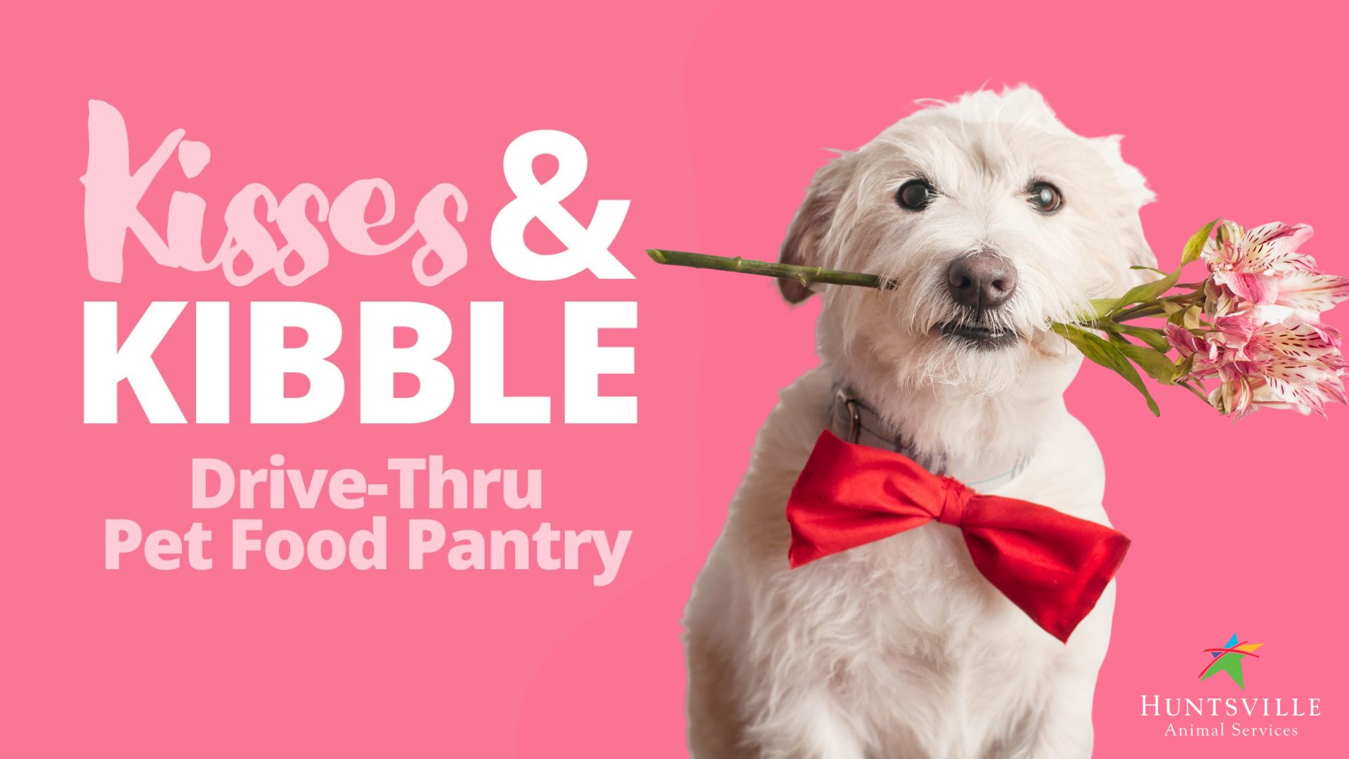 A pet food drive-thru event advertisement with a cute white dog wearing a red bow tie holding flowers in his mouth.