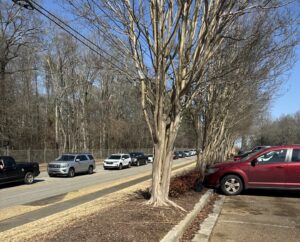 Cars lined up for Kisses and Kibbles Pet Food Drive Thru event at Huntsville Animal Services