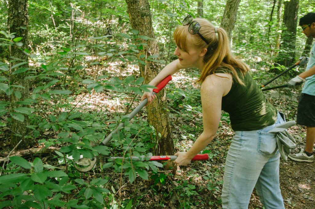 One woman and one man use large garden clippers to remove invasive plants among trees in forest during a City Wide Weed Wrangle