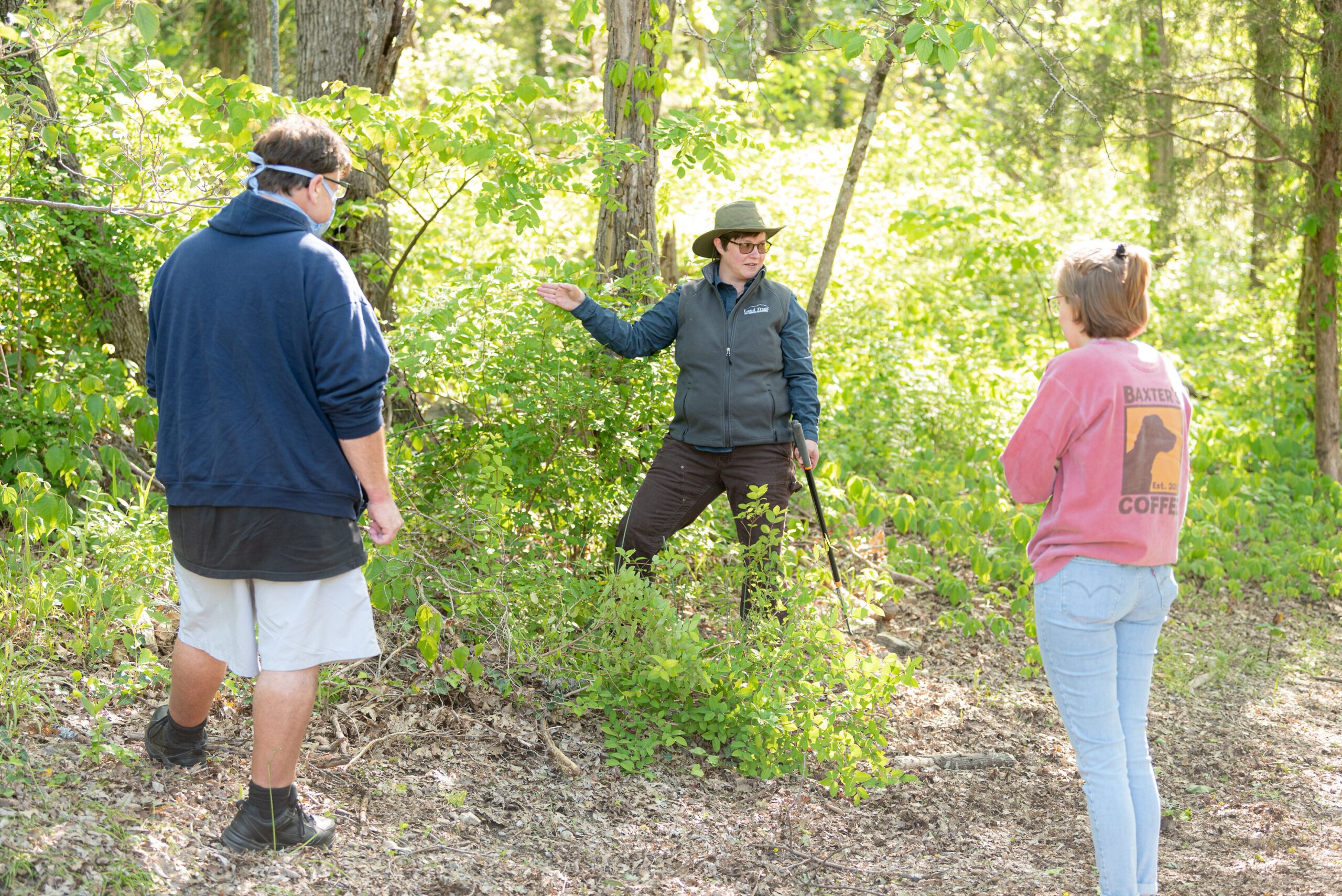 Three people stand around an invasive plant in the woods as they prepare to remove it.