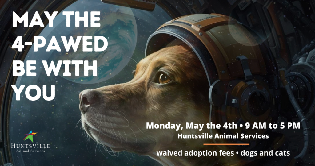 Cute dog with space helmet graphic promoting, May the 4-Pawed Be With You adoption promotion at Huntsville Animal Services on May 4, 2026