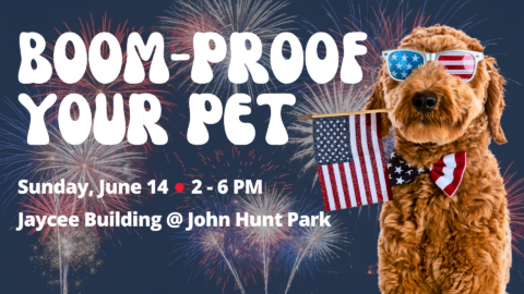 Image for Huntsville Animal Services Boom Proof Your Pet News Conference