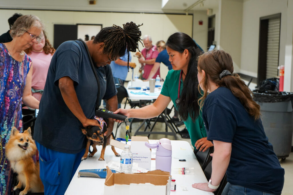 Dog and owner work with vet who is checking the dogs microchip status