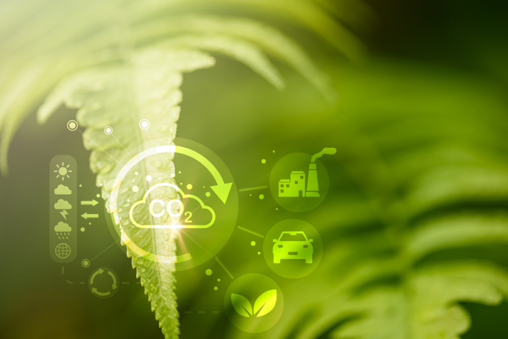 A promotional graphic with green fern stems and Co2 graphic/computer generated images of cars, clouds, rain and sun