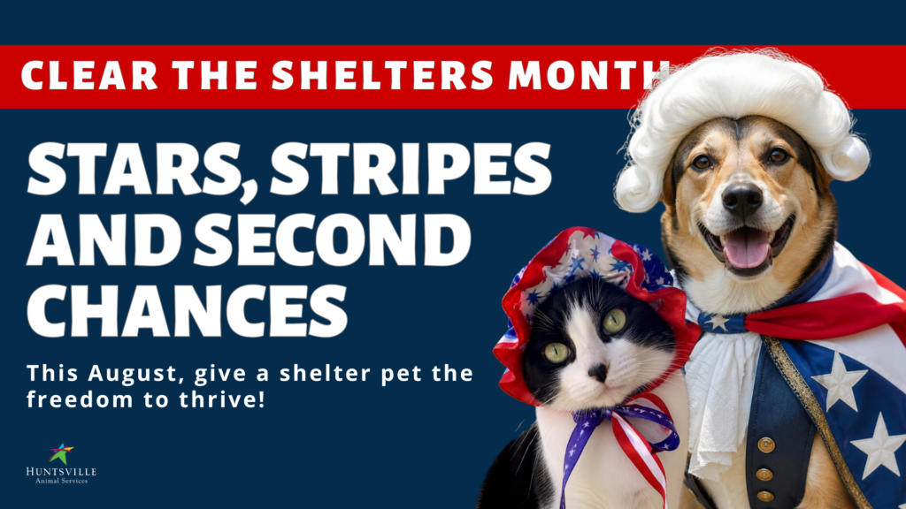 Huntsville Animal Services Clear the Shelter Month graphic with a dog and cat dressed up in early colonial costumes