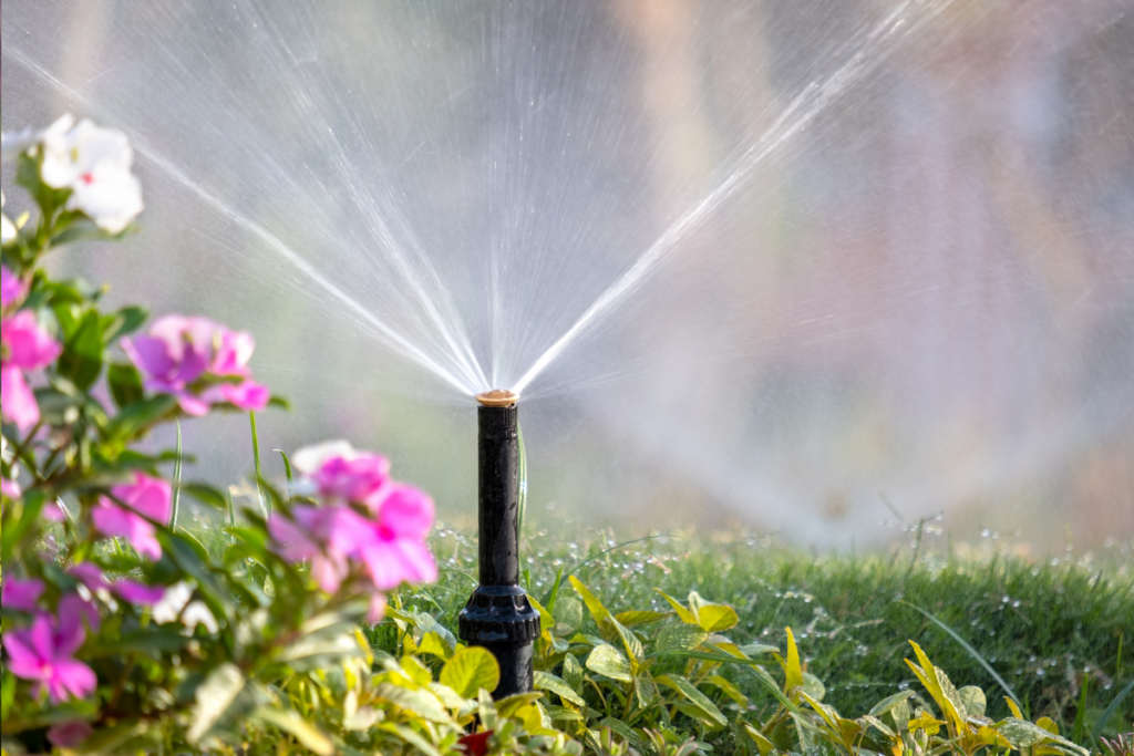 A pop-up garden sprinkler waters green grass and pink flowers.