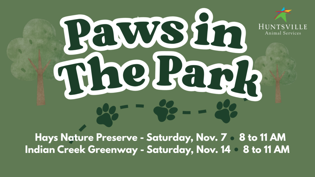 Promotional graphic for Paws in the Park, a Huntsville Animal Services event to get people outside walking with their dogs, or walking a shelter dog