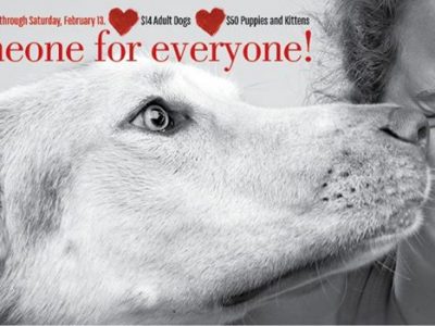 Click to view Discover the love of life at the Shelter