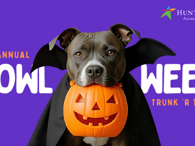 Click to view Tricks, treats and tails: Huntsville Animal Services to host fourth annual Howl-o-Ween Trunk ‘r Treat