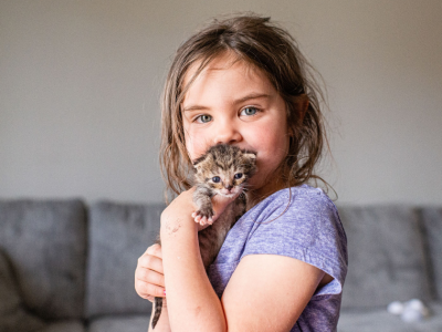 Click to view Celebrate Adopt a Shelter Cat Month in June with Huntsville Animal Services