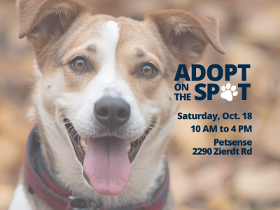 Click to view Petsense Adopt-a-Thon dog adoption set for Oct. 18