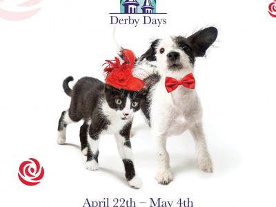 Click to view Race to Adopt a Pet During Animal Services Derby Days 
