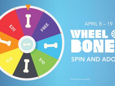 Click to view Game Time: “Wheel of Bones – Spin and Adopt” from Animal Services