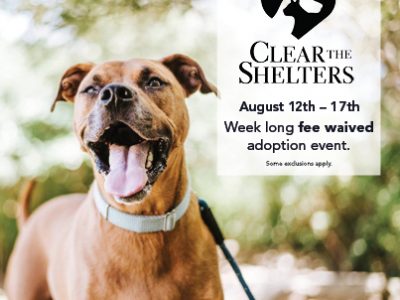 Click to view National “Clear the Shelters” Week at Huntsville Animal Services