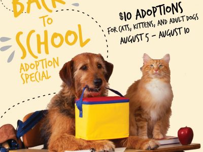 Click to view Back-to-School Pet Adoption Special