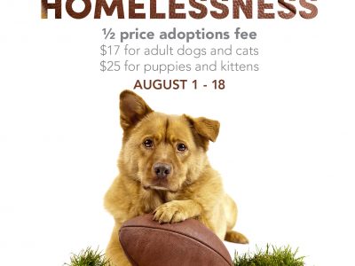 Click to view Tackle Homelessness at the Huntsville Animal Shelter