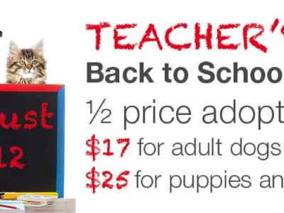 Click to view Teacher’s Pet Adoption Special