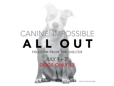 Click to view Now It’s Canine Impossible: $5 Adoptions at Huntsville Animal Services
