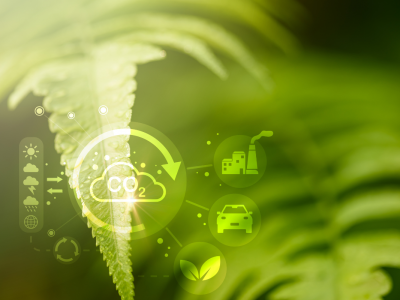 Click to view Simple ways to reduce your carbon footprint