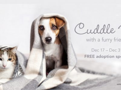 Click to view Cuddle Up with a Furry Friend for the Holidays