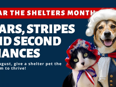 Click to view Huntsville Animal Services Celebrates National Clear the Shelters Month with ‘Stars, Stripes & Second Chances’