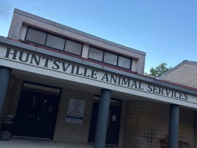 Click to view Huntsville Animal Services seeks community support after large intake of animals