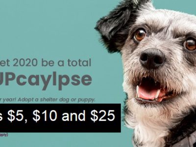 Click to view Canine Apupcalypse at Animal Services