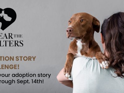Click to view Adopt A Pet and Share Your Happy Story!