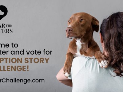 Click to view Time to vote for the Best Pet Story and earn donations for the Animal Shelter