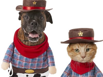 Click to view Come lasso a new ‘pawdner’ at Huntsville Animal Services