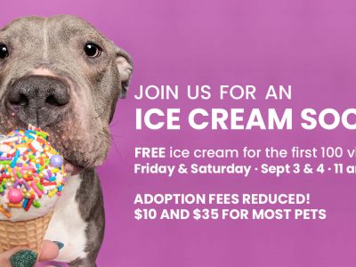 Click to view Get the scoop! Huntsville Animal Services to host ice cream social