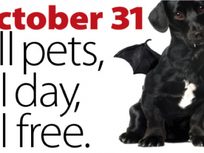 Click to view Halloween Special at Animal Services – Free Pet Adoptions