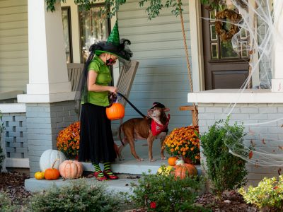 Click to view Find your BOO: Shelter pets go trick or treating to find fur-ever homes