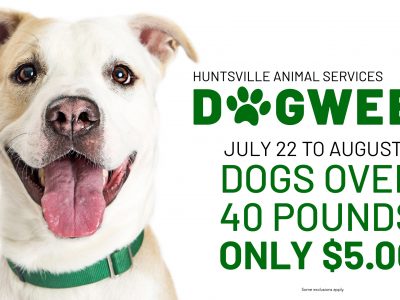 Click to view It’s Dog Week at Huntsville Animal Services