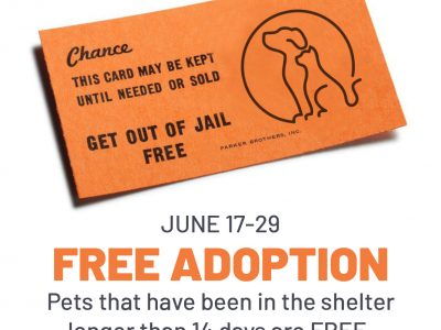 Click to view Get out of Jail Free by playing Petnopoly at Animal Services 