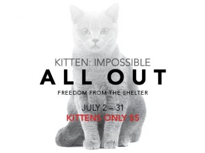 Click to view Kitten Impossible: $5 Adoptions at Huntsville Animal Services through July 31